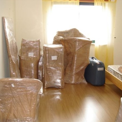 Image Not Found On Media Library