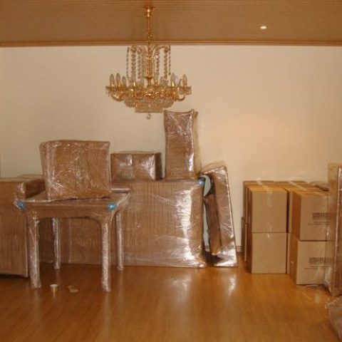 Image Not Found On Media Library