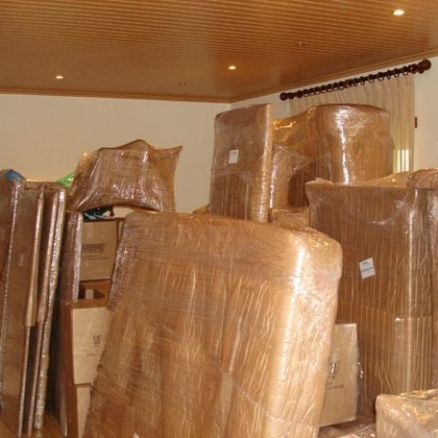 Image Not Found On Media Library