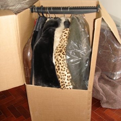 Image Not Found On Media Library