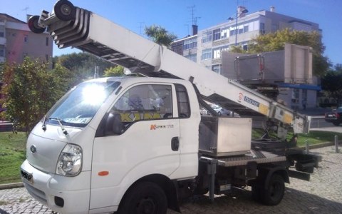 Image Not Found On Media Library